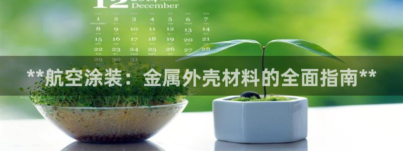 美高梅软件开发创始人