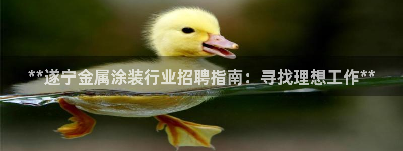美狮美高梅酒店房间
