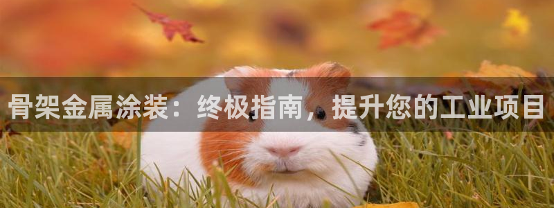 鲁能钓鱼台美高梅公馆房价