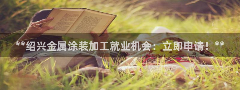 美高梅是做什么的澳门何超琼