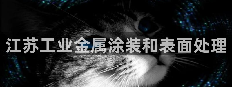 美高梅北京项目
