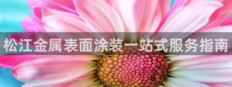 美狮美高梅酒店谁开的
