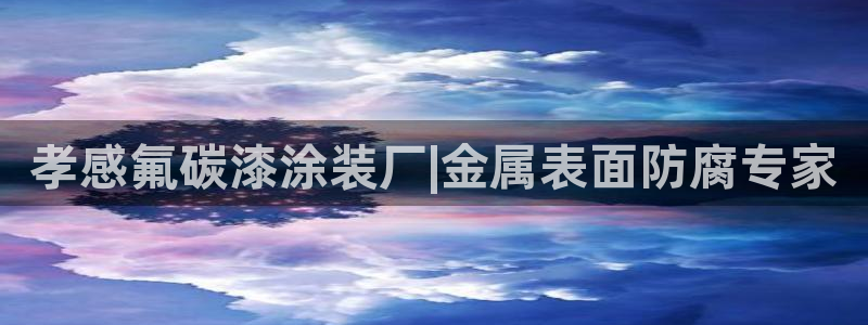 美高梅中国集团简介