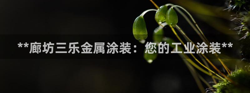 美高梅和美狮美高梅有什么区别