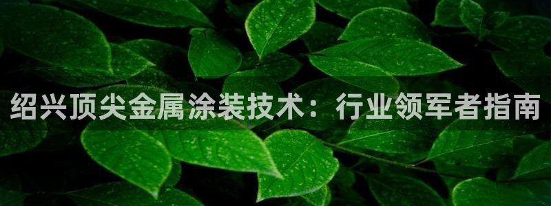 美狮美高梅酒店是几星级