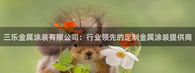 美高梅酒店金卡