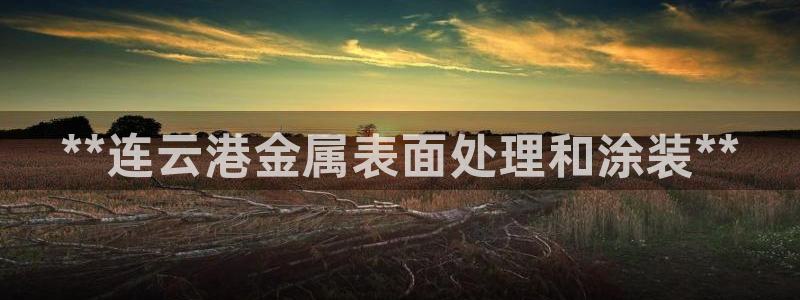 美高梅是哪个酒店集团