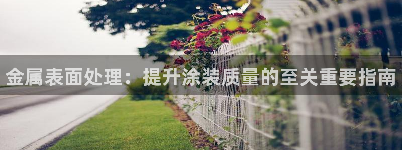 美高梅何超琼年薪