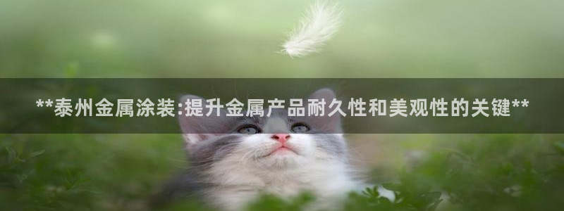 美高梅度假酒店怎么样