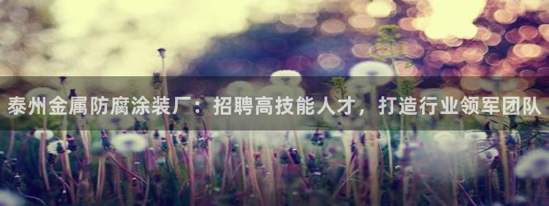 美高梅酒店拖鞋