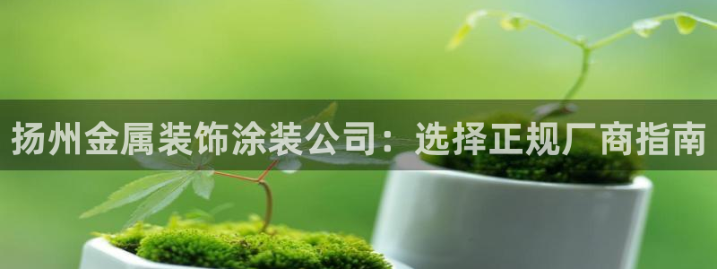 美高梅股票今天怎么了