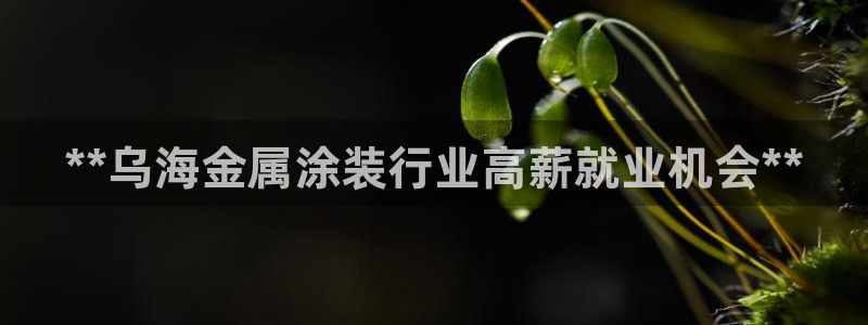 美高梅何超琼持股多少