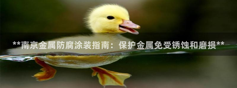 美高梅度假酒店会员卡