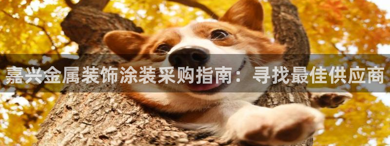 美狮美高梅酒店洗护用品什么牌子