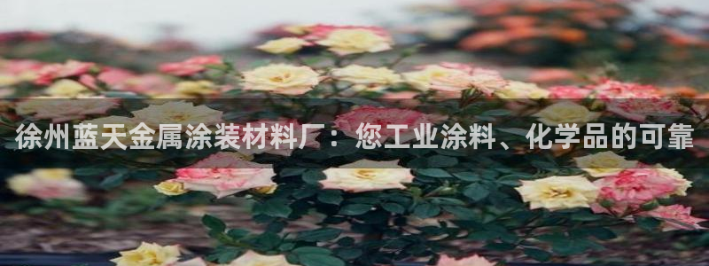美狮美高梅酒店客房多少间