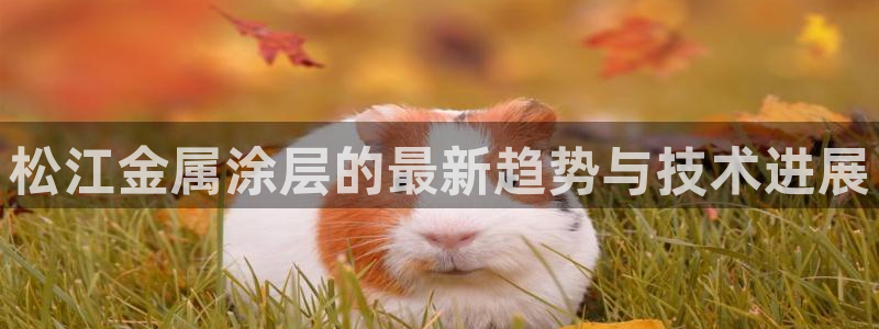 美高梅酒店品牌之夜