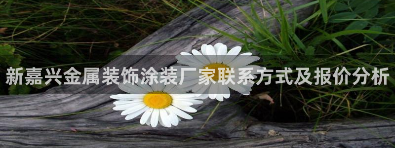 美高梅冯小峰简介