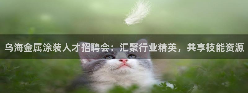 美高梅1000万筹码图片