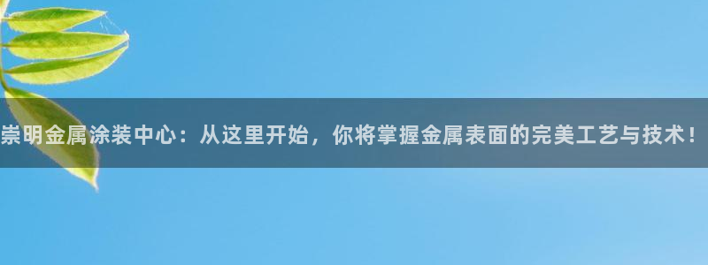 美高梅空中海洋秀在哪里