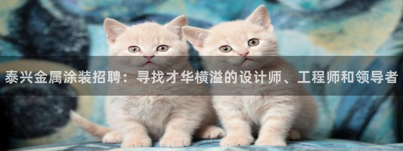 美高梅酒店会员卡