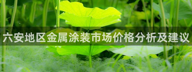 美高梅集团老板