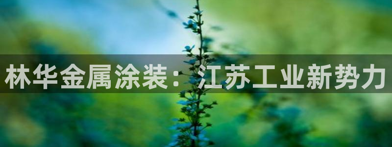 美高梅全球限量100张
