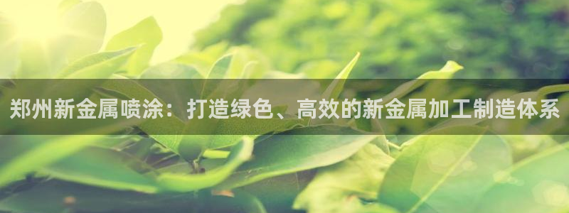 美高梅酒店哪个城市