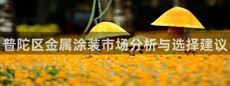美高梅便携旅行装佛手柑护发素