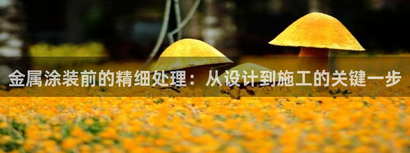 美高梅冯小峰是青岛人吗