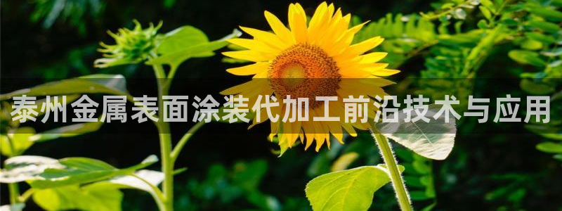 美高梅大酒店花园体育馆
