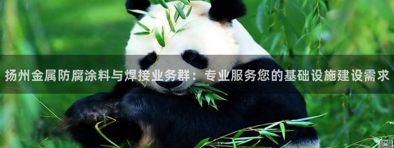 美高梅公司