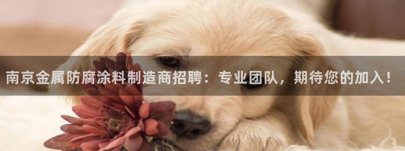 美高梅被收购