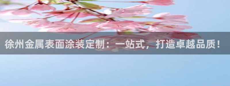 美高梅大酒店老板是谁：徐州金属表面涂装定