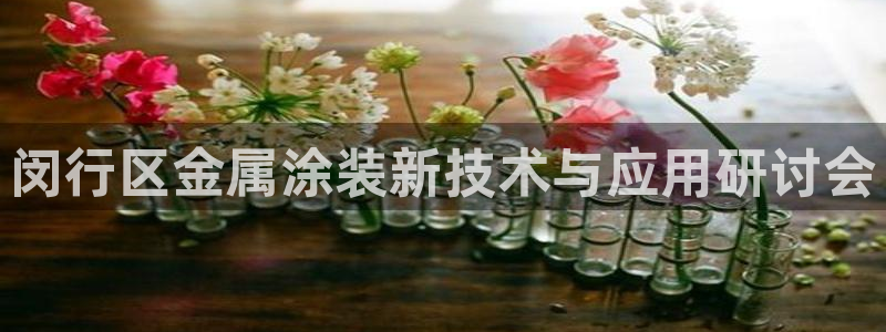 美高梅股票中国净资产多少