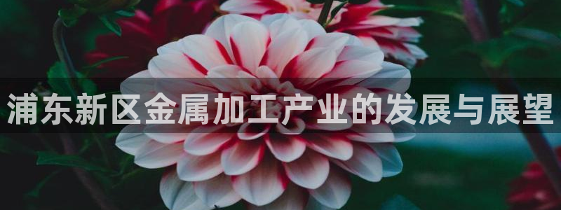 美高梅酒店上海