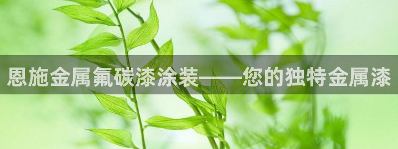 美狮美高梅酒店狮子一动代表什么