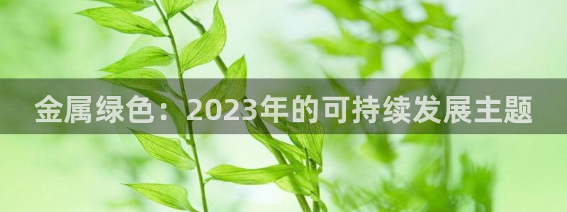 美高梅会员卡好用不