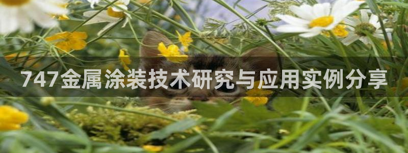 美狮美高梅酒店何超
