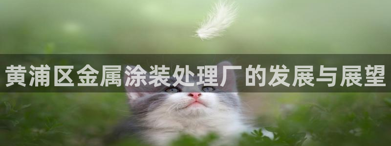 鲁能钓鱼台美高梅公馆售价