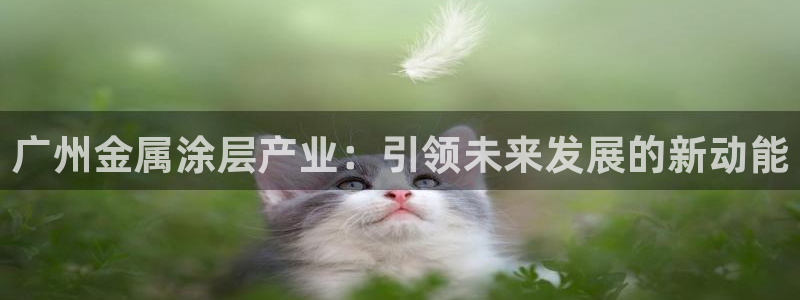 美高梅老板何超琼