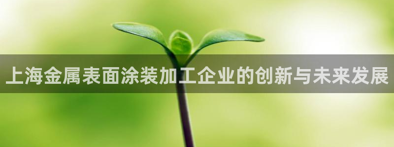 美高梅官方安卓版中文版下载安装