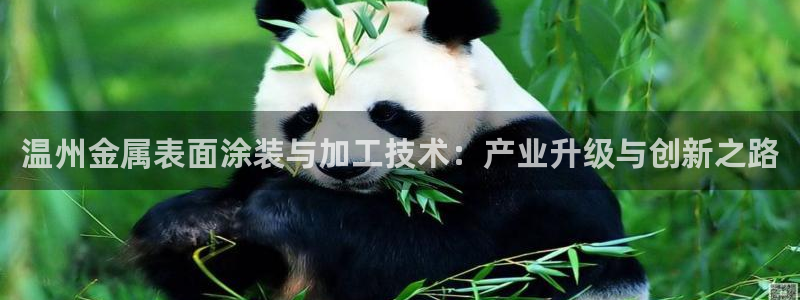 美狮美高梅酒店美食