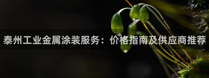 美高梅酒店免费奶茶