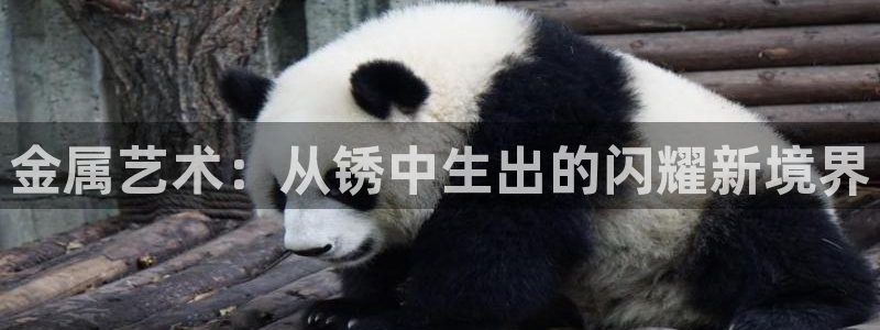 美高梅北京国际文化旅游发展有限公司