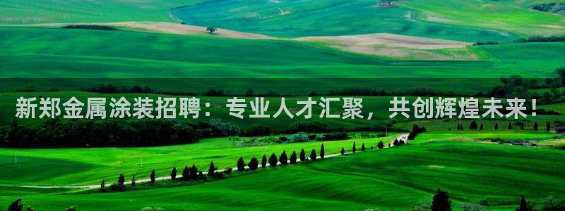 美高梅中国是什么公司