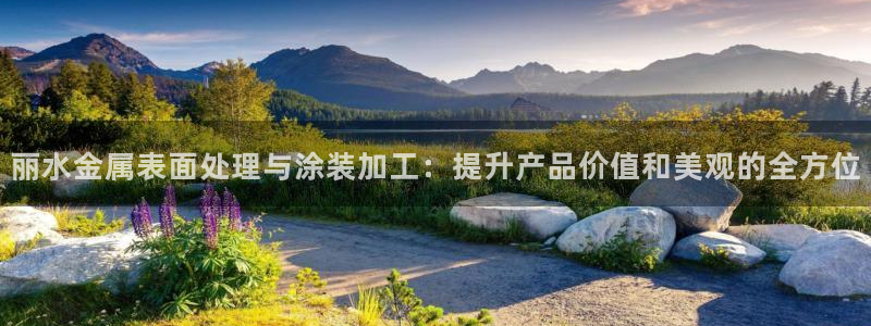 美国美高梅酒店集团