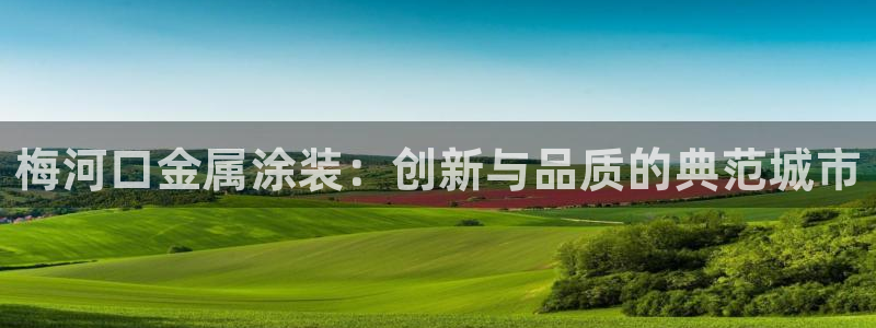 美高梅登录不上去了