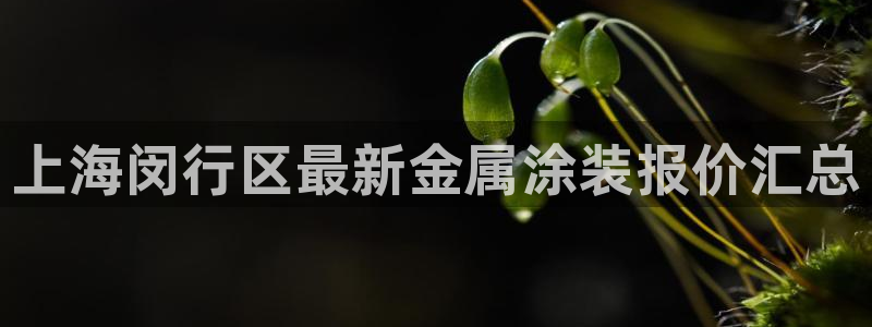 美高梅的老板是谁?