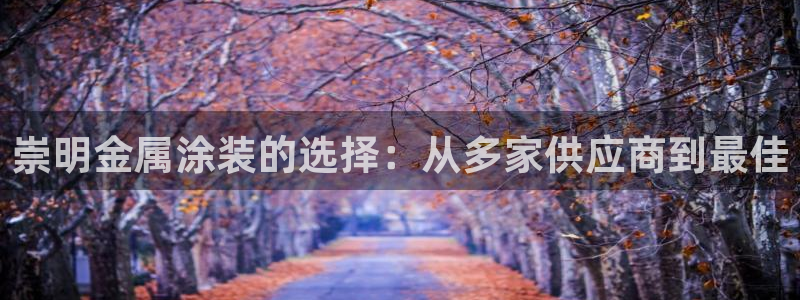 米高梅酒店和美高梅酒店