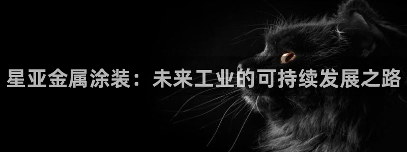 美高梅4688集团am